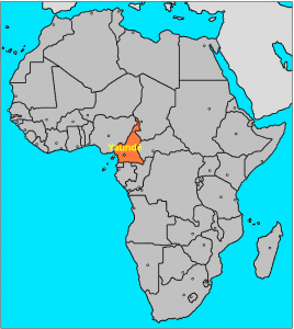 camerun en Africa