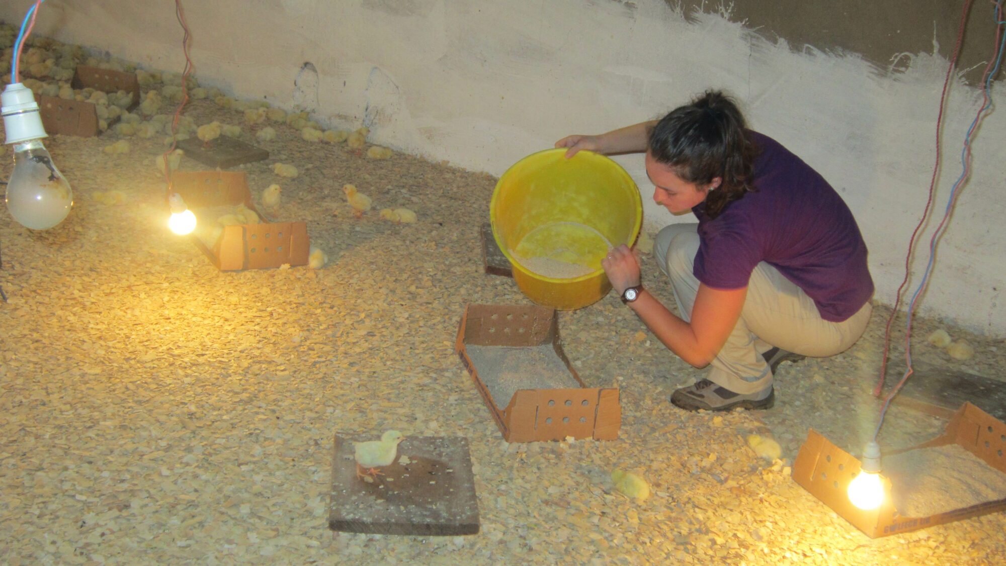 Nueva voluntaria de Zaragoza en Menteh.