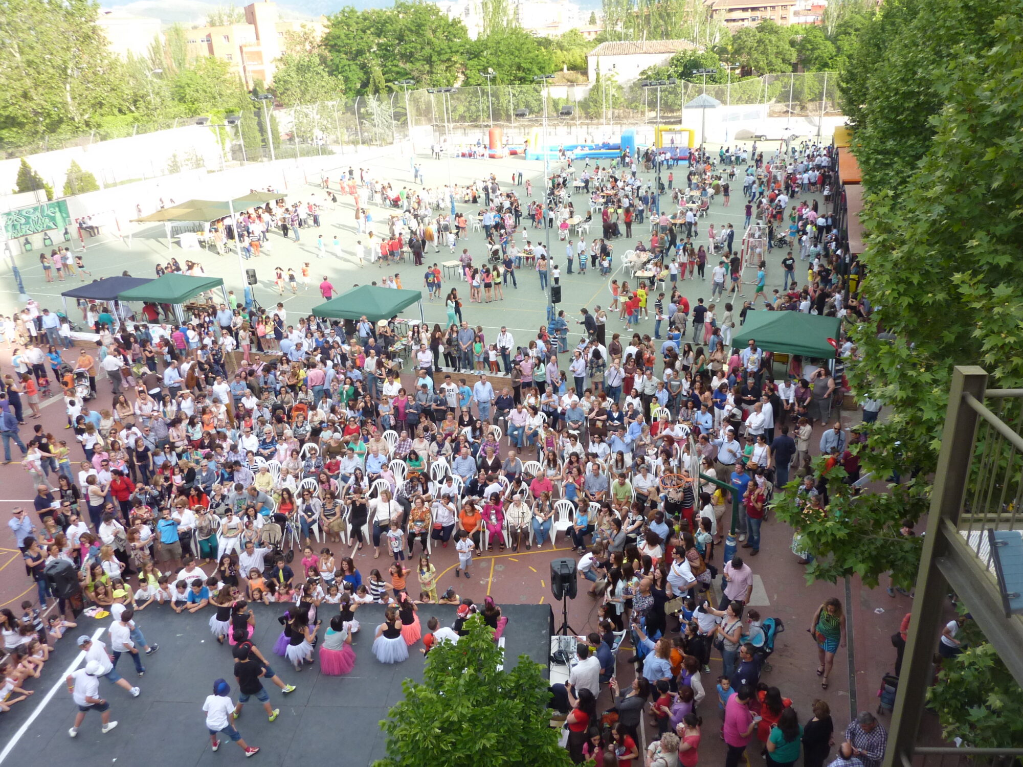 17.294,85€ en la Fiesta de la Solidaridad 2013
