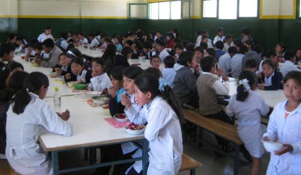 ARTÍCULO PUBLICADO EN EL PERIÓDICO OPINIÓN DE BOLIVIA SOBRE EL INTERNADO Y EL COLEGIO DE ANZALDO