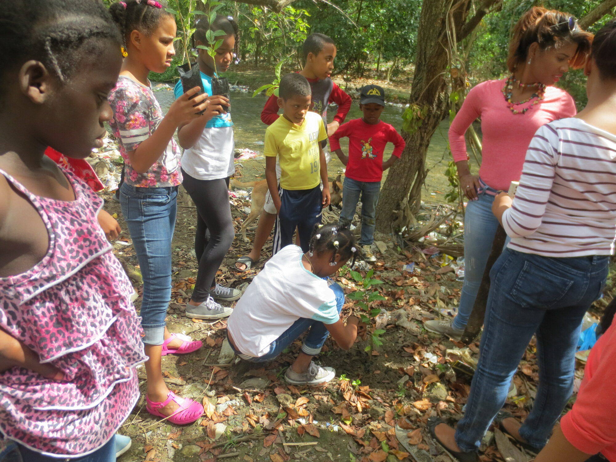 CCC La Puya- Santo Domingo, siembra árboles en el sector El Aguacate.