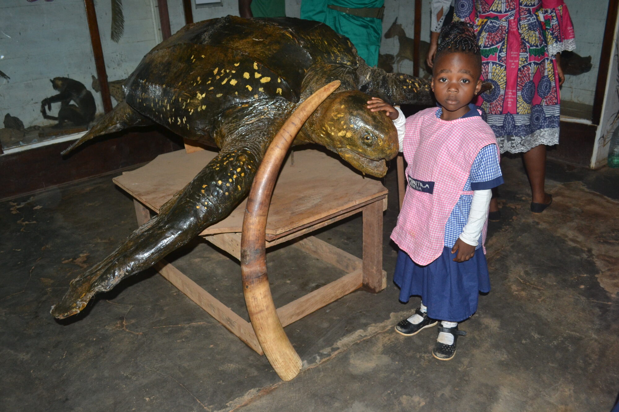 excursion des élèves de la maternelle