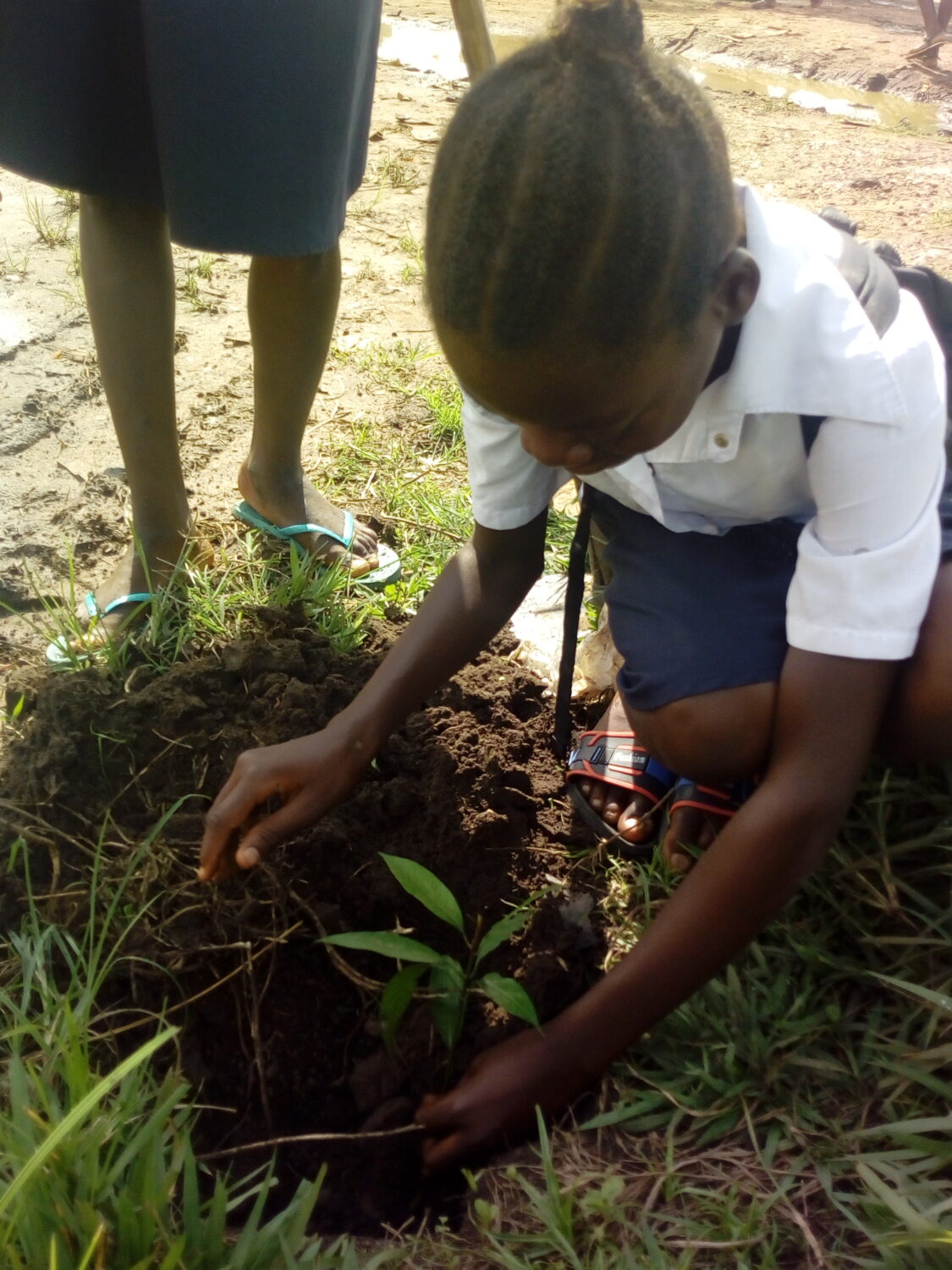 Les élèves de Kikonka promeuvent la protection de l’environnement