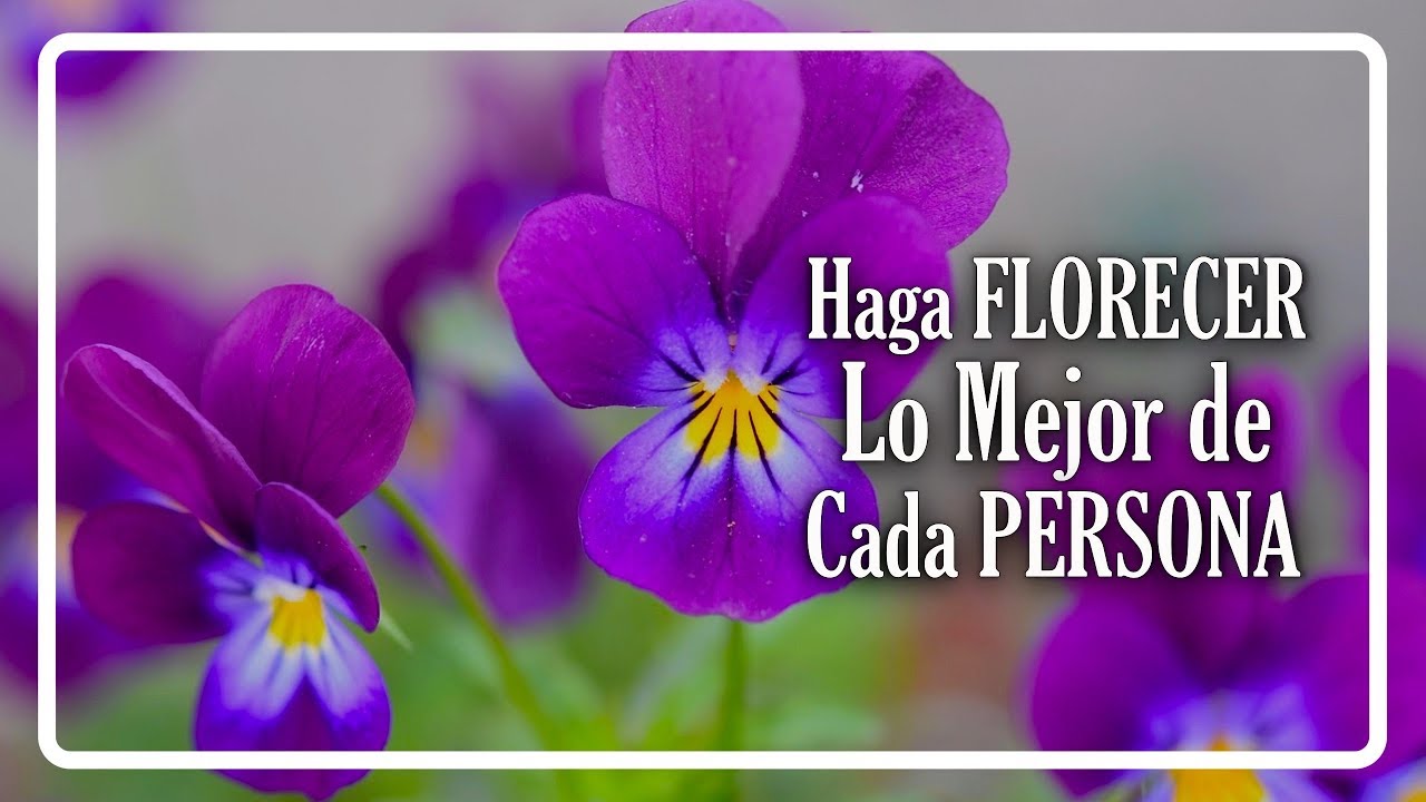 ITAKA - ESCOLAPIOS PARA SACAR LO MEJOR DE CADA PERSONA