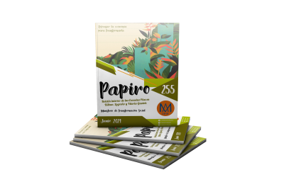 NUEVO PAPIRO 255:  “REPENSAR LA ECONOMÍA PARA TRANSFORMARLA"