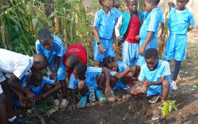 JARDIN SCOLAIRE A L’ECOLE BILINGUE SAINT JOSEPH CALASANZ DE BAFIA AU CAMEROUN