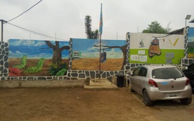 La Diputación de Huesca financia un proyecto para garantizar la seguridad del colegio de RD Congo